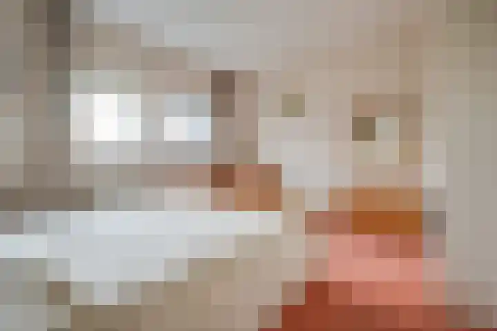 Noordeindse Hof 13 Berkel en Rodenrijs thumbnail 23