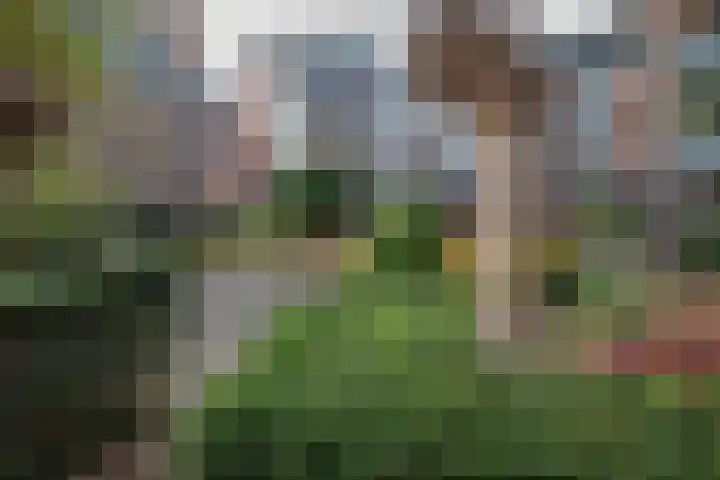 Noordeindse Hof 13 Berkel en Rodenrijs thumbnail 37
