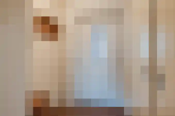 Noordeindse Hof 13 Berkel en Rodenrijs thumbnail 7