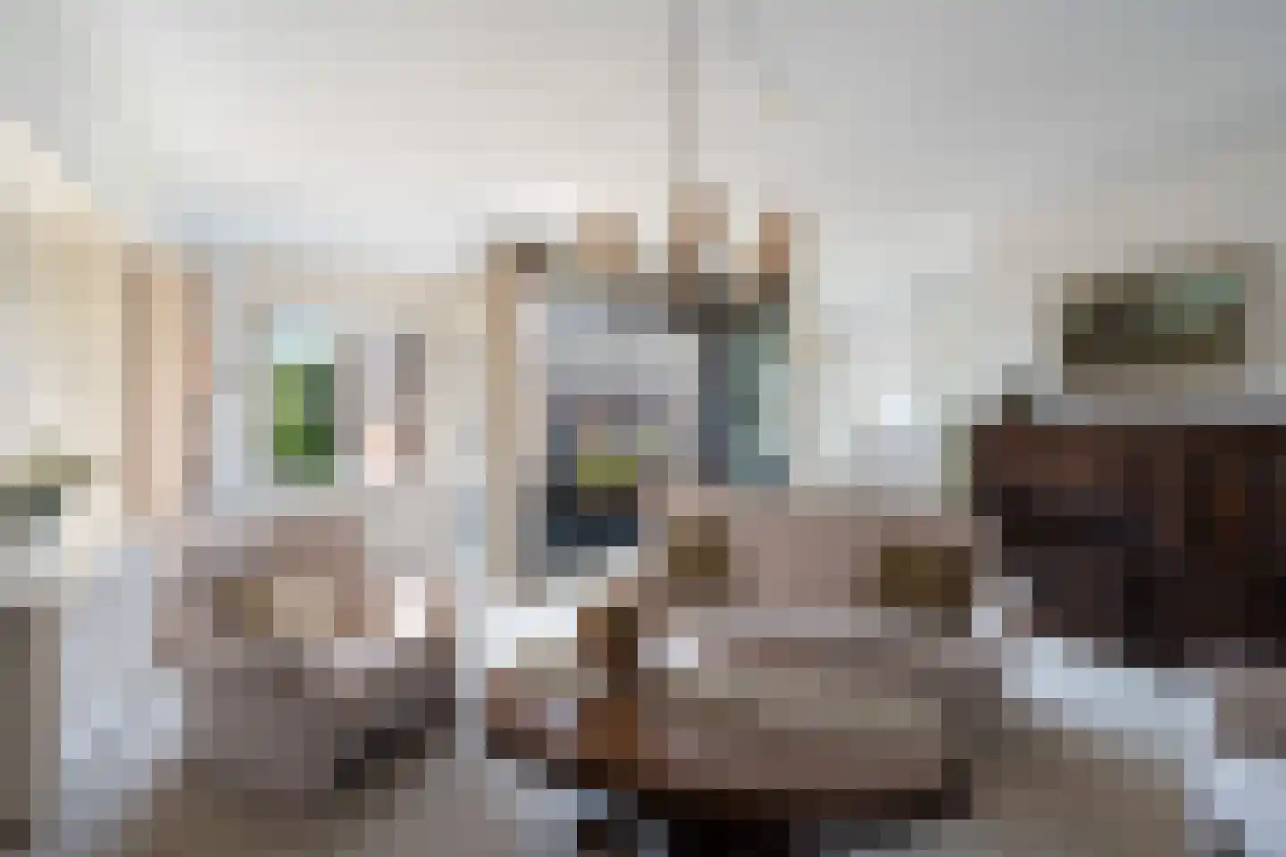 Noordeindse Hof 16 Berkel en Rodenrijs thumbnail 10
