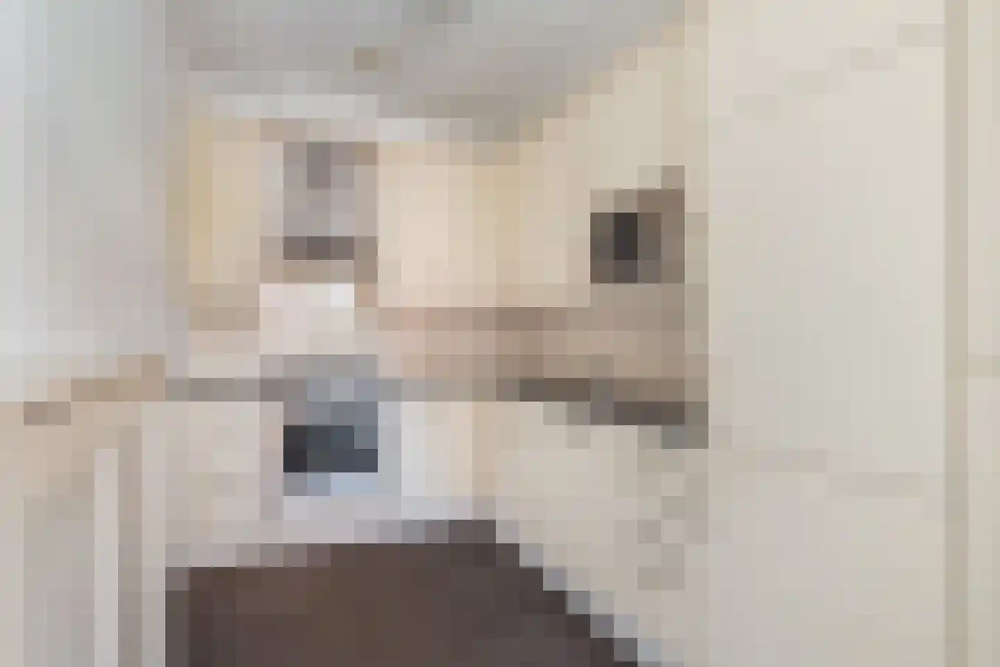 Noordeindse Hof 16 Berkel en Rodenrijs thumbnail 14
