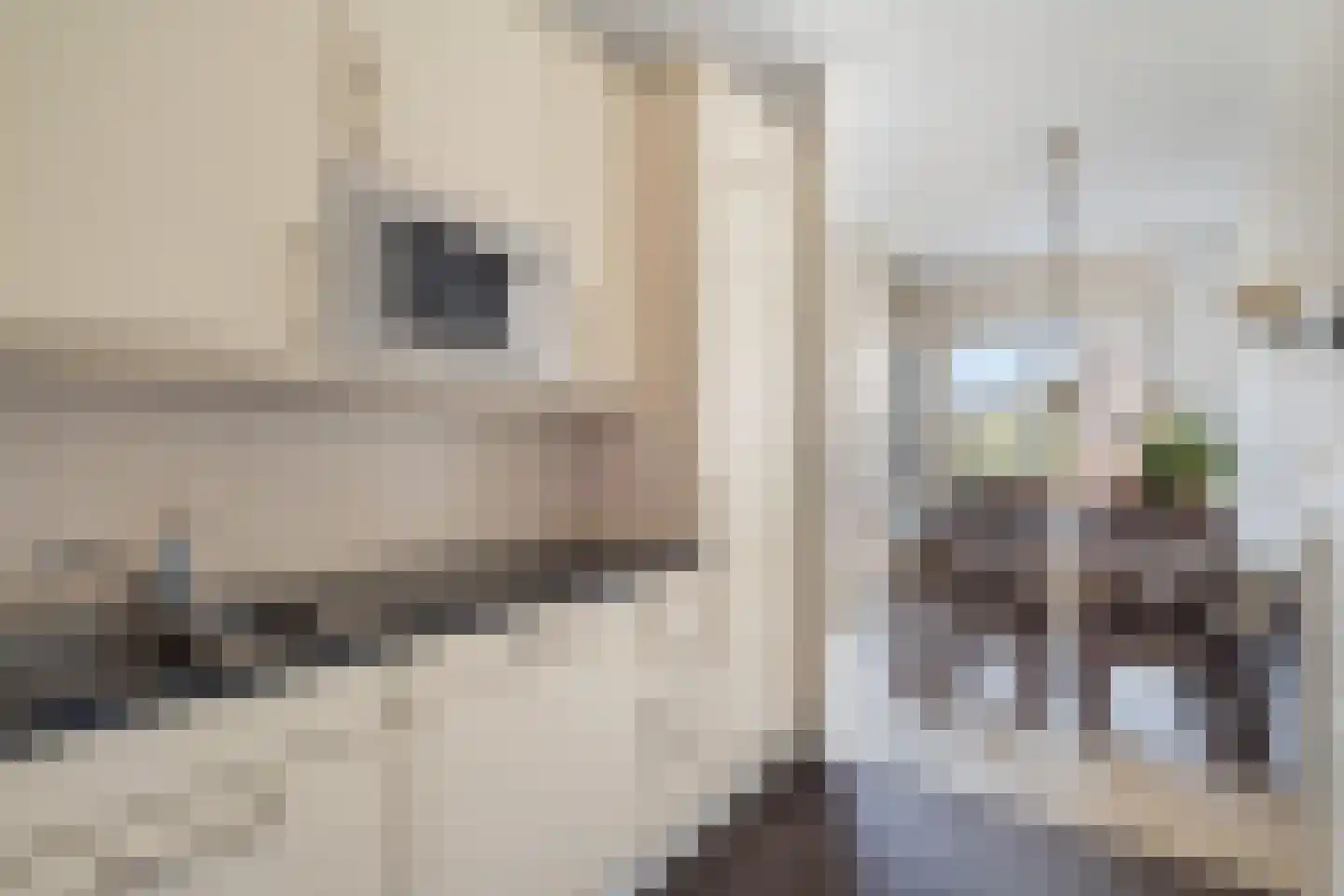 Noordeindse Hof 16 Berkel en Rodenrijs thumbnail 15