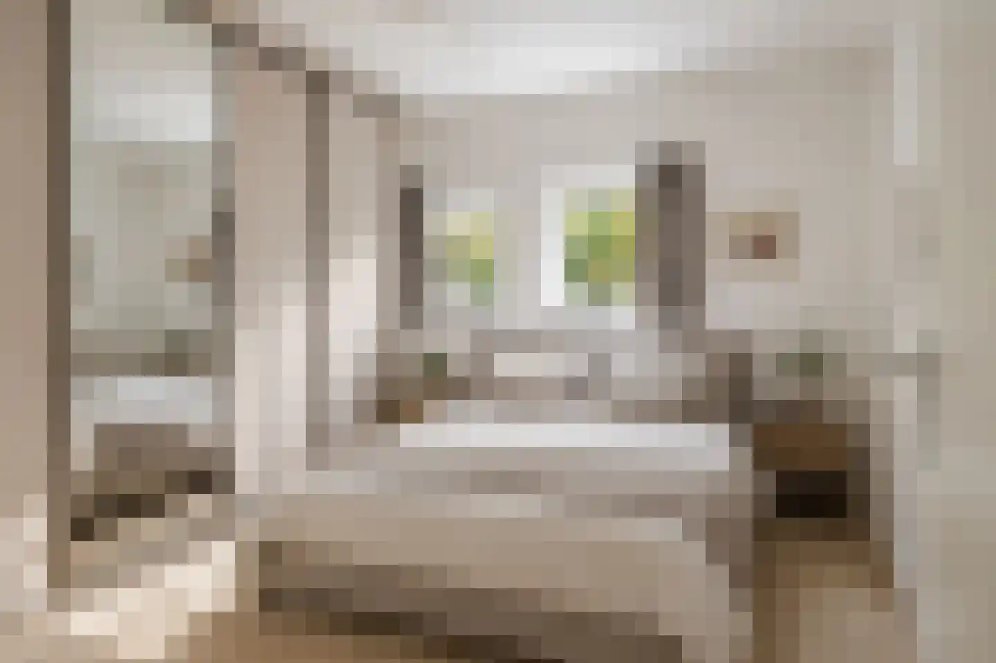 Noordeindse Hof 16 Berkel en Rodenrijs thumbnail 20