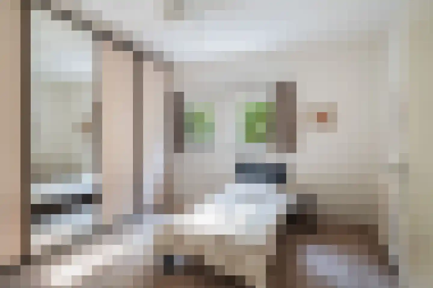 Noordeindse Hof 16 Berkel en Rodenrijs thumbnail 21