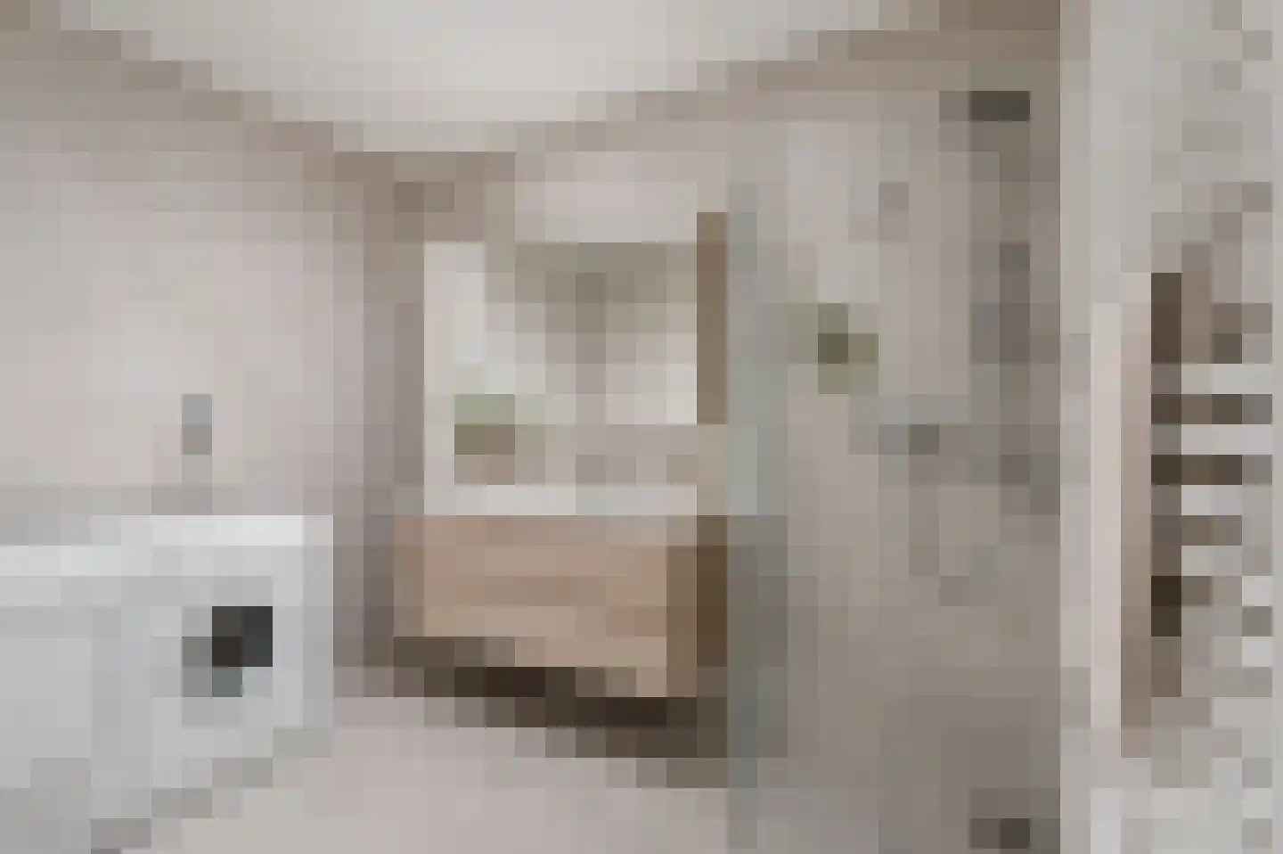 Noordeindse Hof 16 Berkel en Rodenrijs thumbnail 23