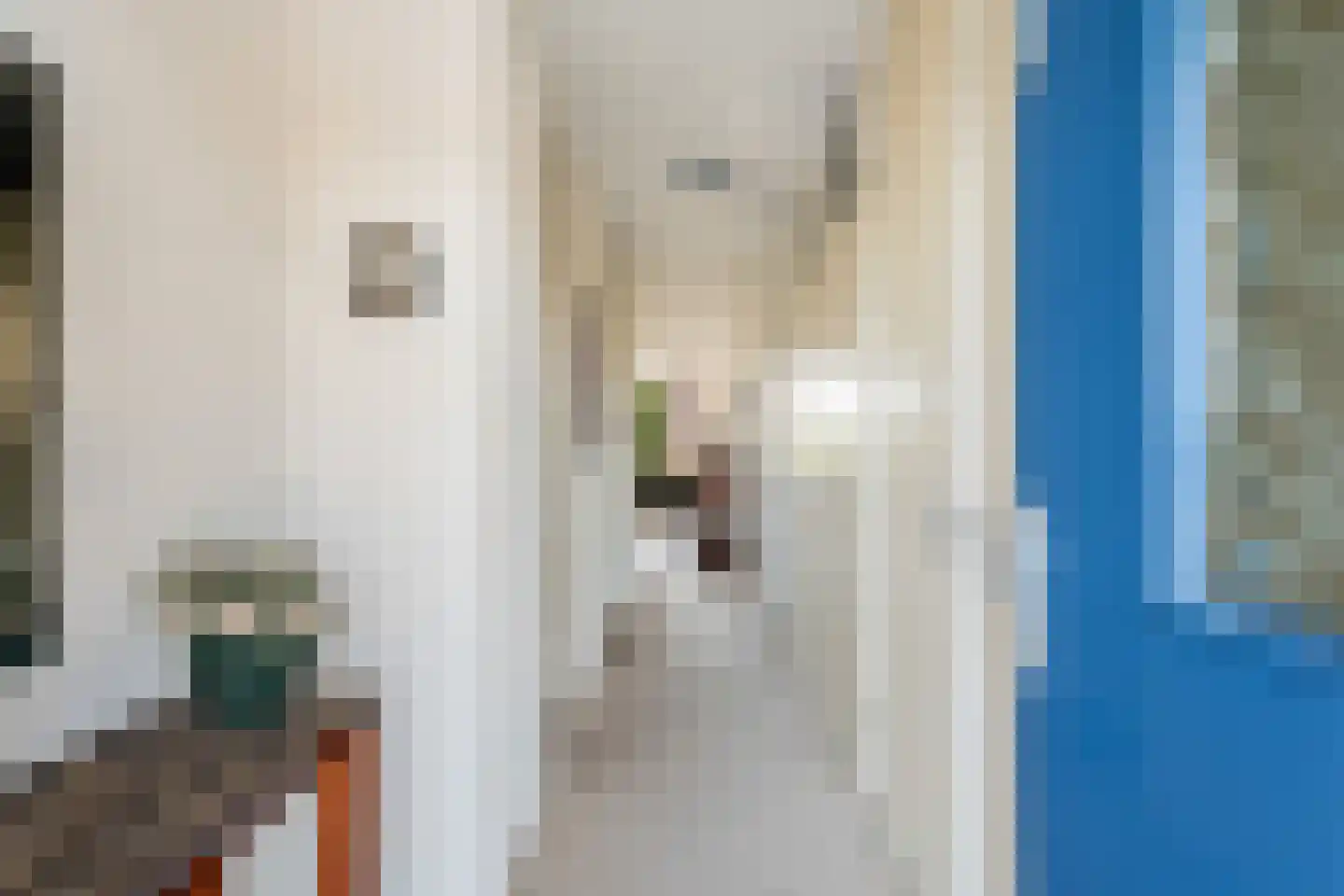Noordeindse Hof 16 Berkel en Rodenrijs thumbnail 8
