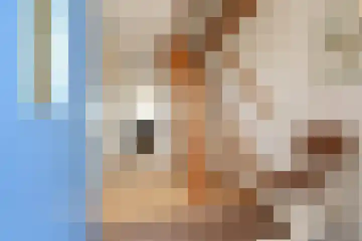 Noordeindse Hof 23 Berkel en Rodenrijs thumbnail 10