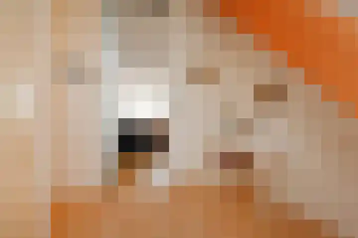 Noordeindse Hof 23 Berkel en Rodenrijs thumbnail 15