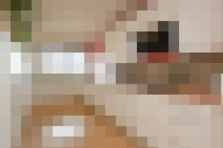 Noordeindse Hof 23 Berkel en Rodenrijs thumbnail 25