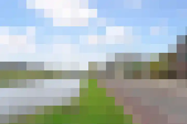 Noordeindse Hof 23 Berkel en Rodenrijs thumbnail 69