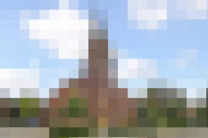 Noordeindse Hof 23 Berkel en Rodenrijs thumbnail 71