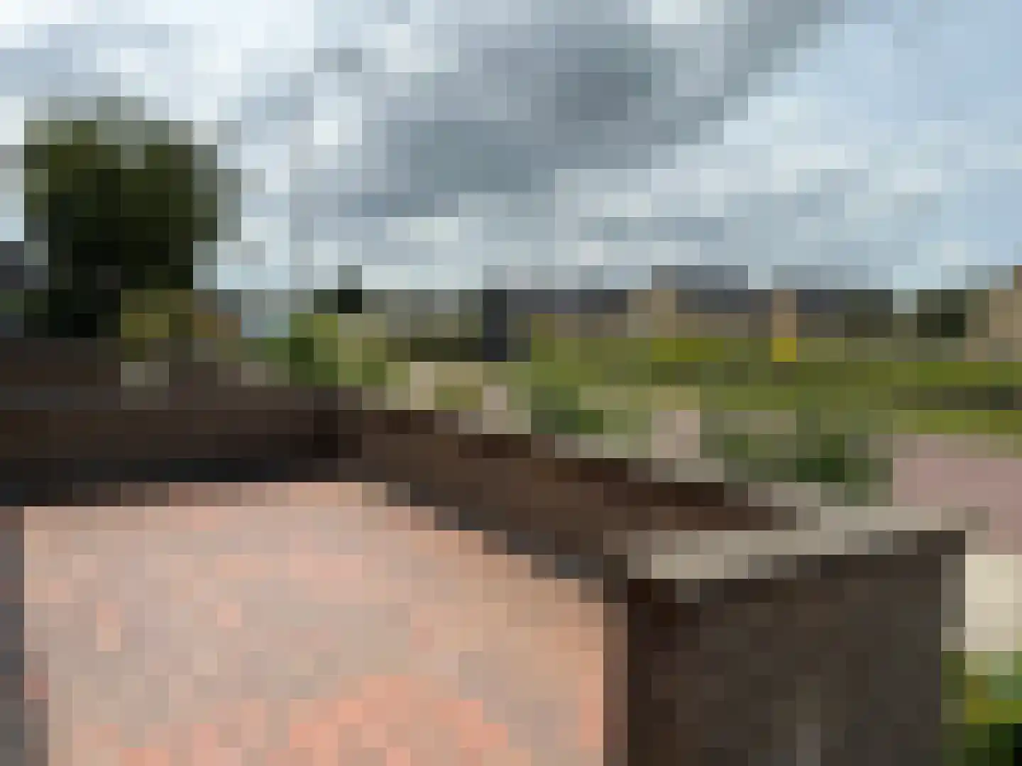Noordeindseweg 132 Berkel en Rodenrijs thumbnail 11