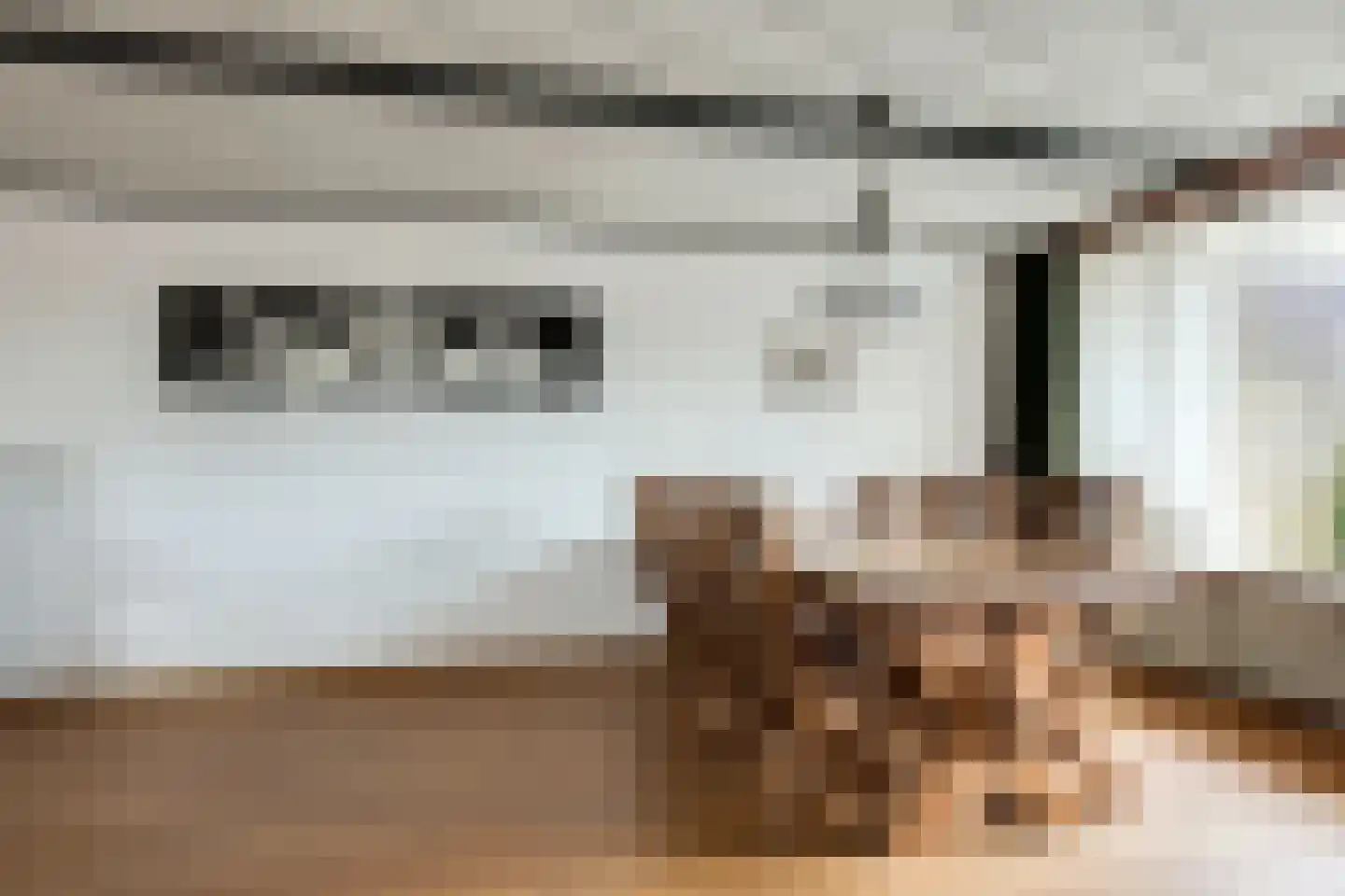 Noordeindseweg 132 Berkel en Rodenrijs thumbnail 15