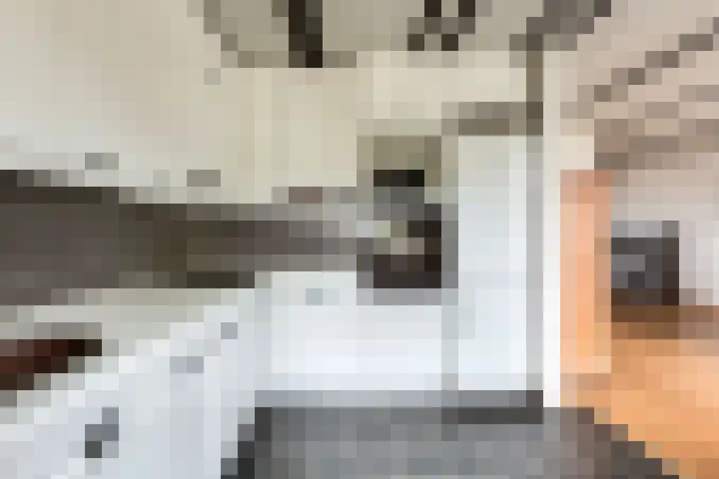 Noordeindseweg 132 Berkel en Rodenrijs thumbnail 18