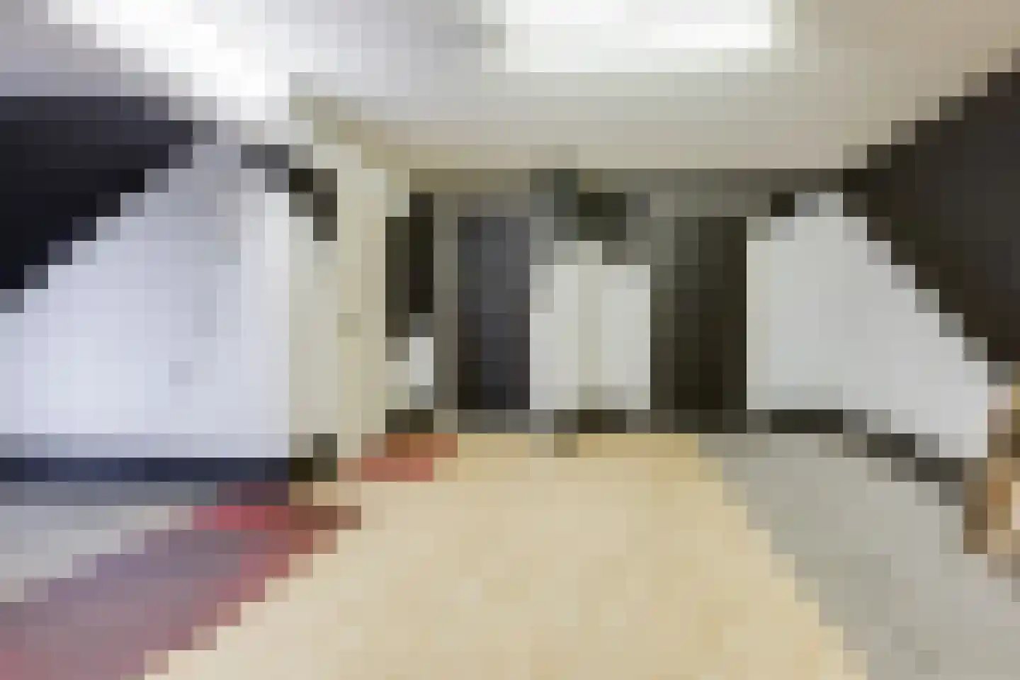 Noordeindseweg 132 Berkel en Rodenrijs thumbnail 33