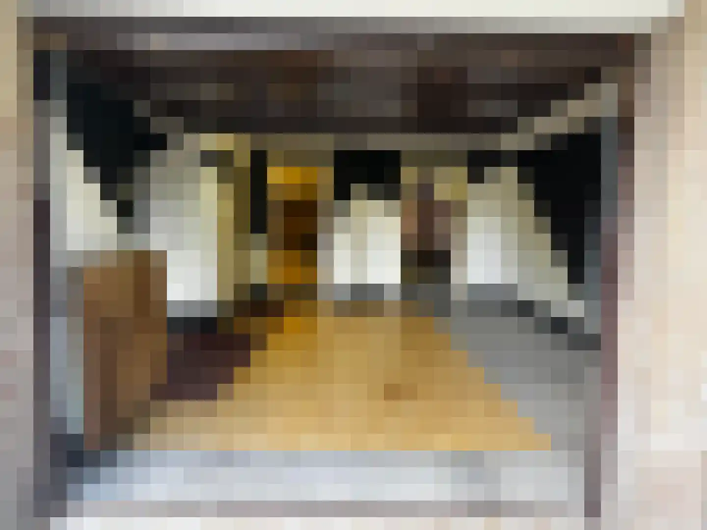 Noordeindseweg 132 Berkel en Rodenrijs thumbnail 34