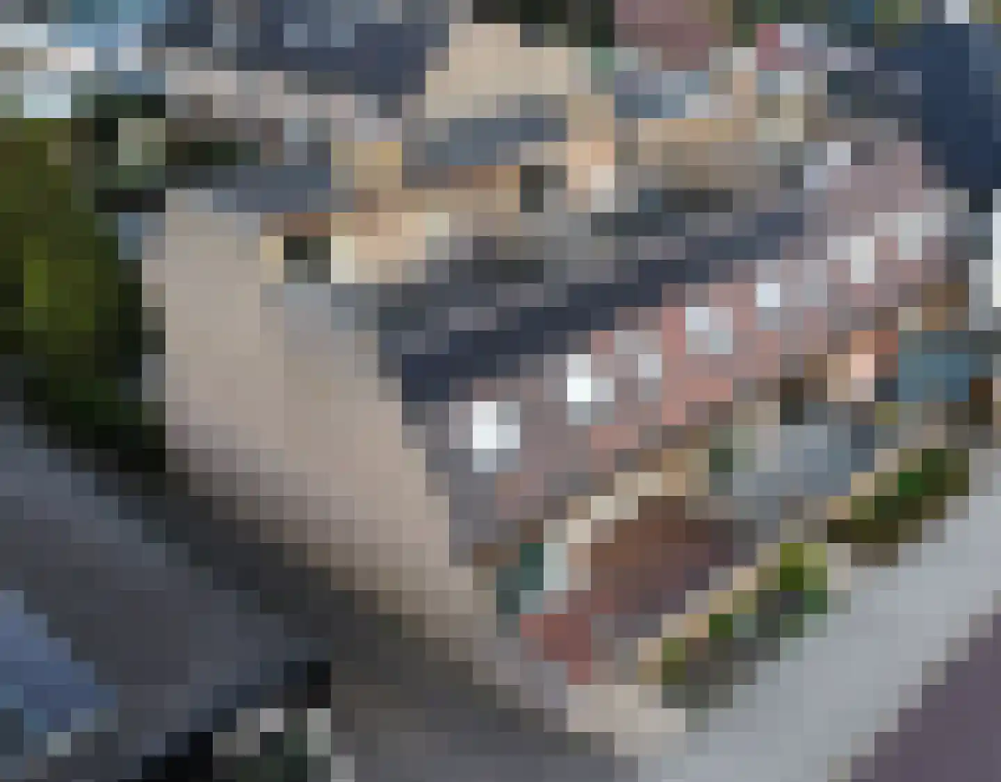 Noordeindseweg 132 Berkel en Rodenrijs thumbnail 42