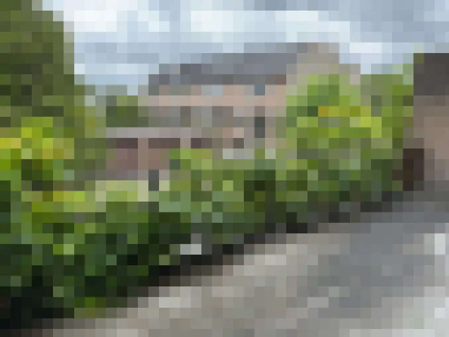 Noordeindseweg 132 Berkel en Rodenrijs thumbnail 44