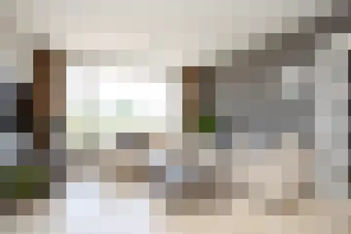 Noordeindseweg 136 Berkel en Rodenrijs thumbnail 12
