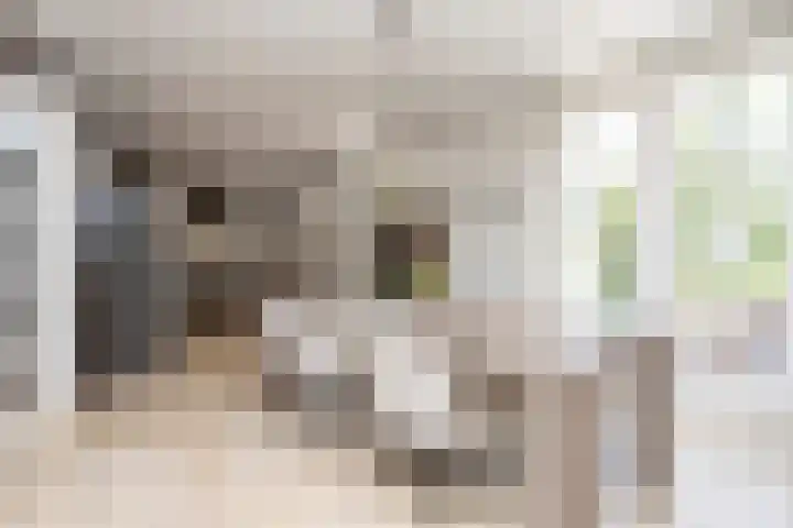 Noordeindseweg 136 Berkel en Rodenrijs thumbnail 17