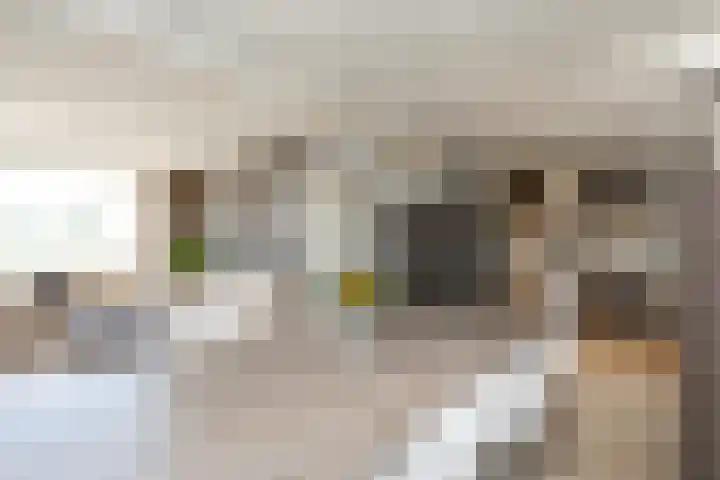 Noordeindseweg 136 Berkel en Rodenrijs thumbnail 18
