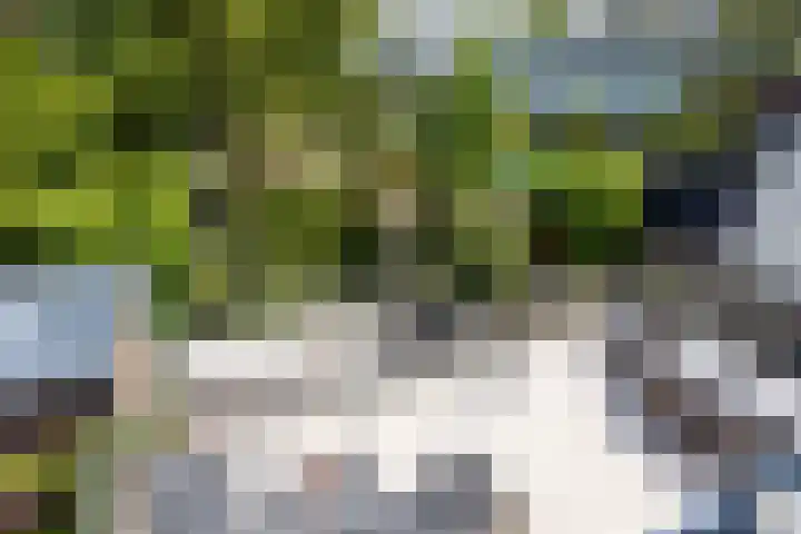 Noordeindseweg 136 Berkel en Rodenrijs thumbnail 38