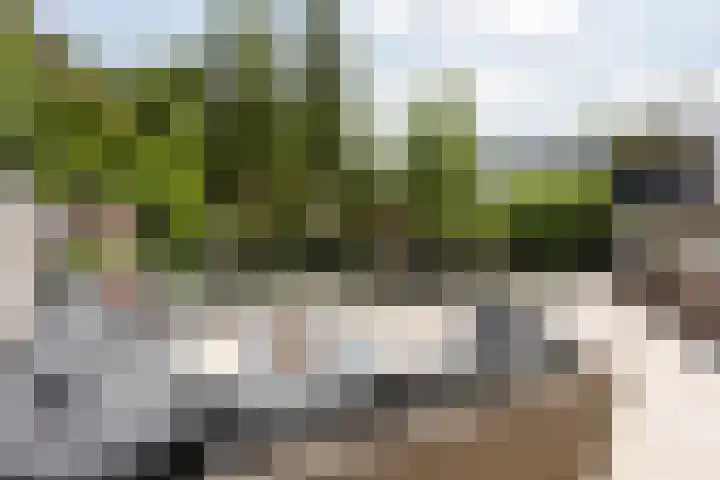 Noordeindseweg 136 Berkel en Rodenrijs thumbnail 39