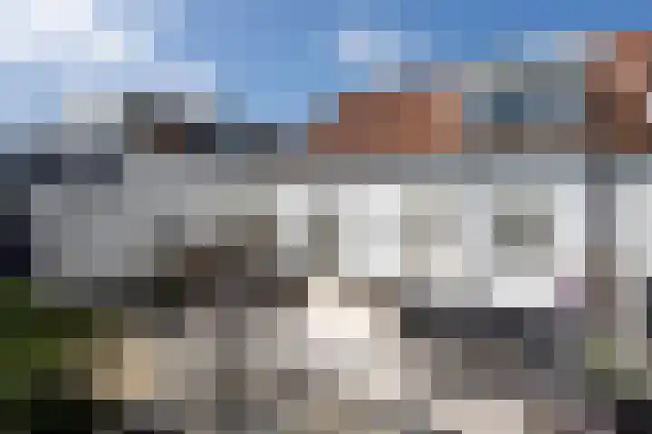 Noordeindseweg 136 Berkel en Rodenrijs thumbnail 4