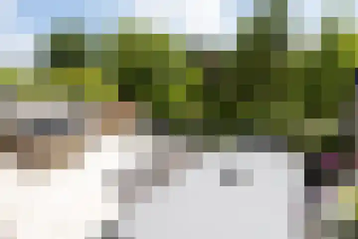 Noordeindseweg 136 Berkel en Rodenrijs thumbnail 40