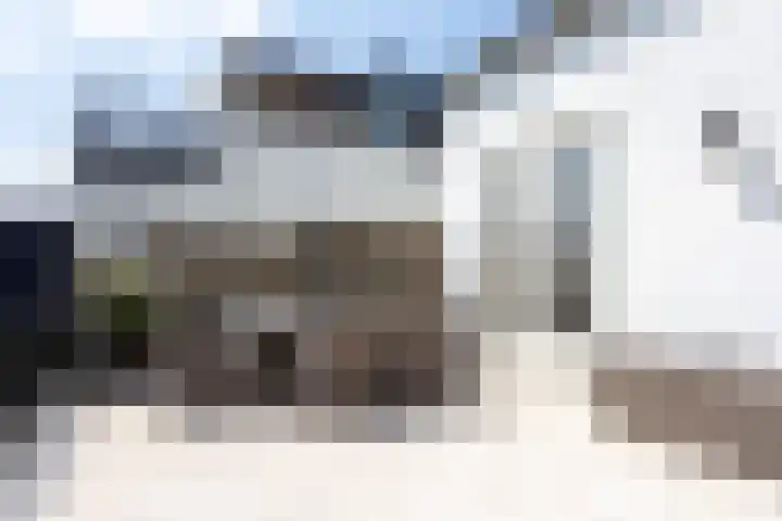 Noordeindseweg 136 Berkel en Rodenrijs thumbnail 41