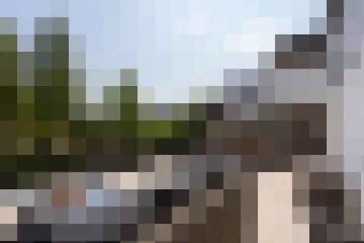 Noordeindseweg 136 Berkel en Rodenrijs thumbnail 43