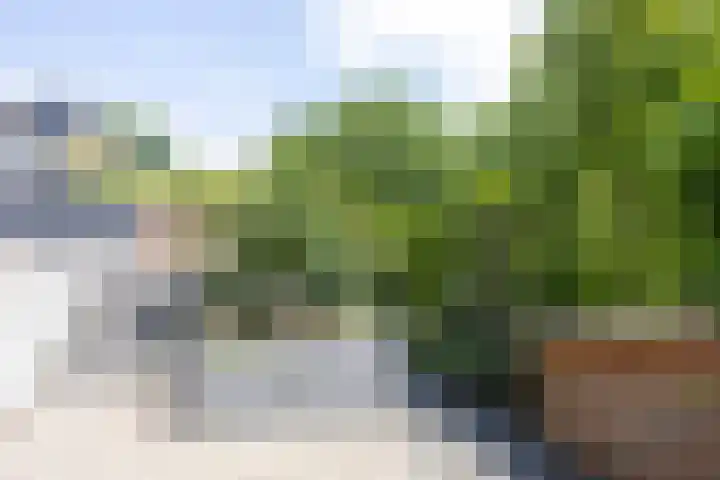 Noordeindseweg 136 Berkel en Rodenrijs thumbnail 44