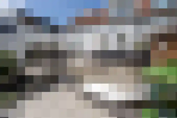 Noordeindseweg 136 Berkel en Rodenrijs thumbnail 45