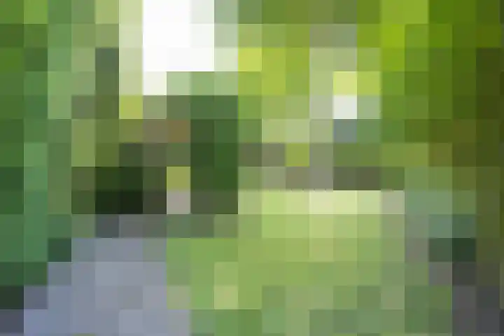 Noordeindseweg 136 Berkel en Rodenrijs thumbnail 46