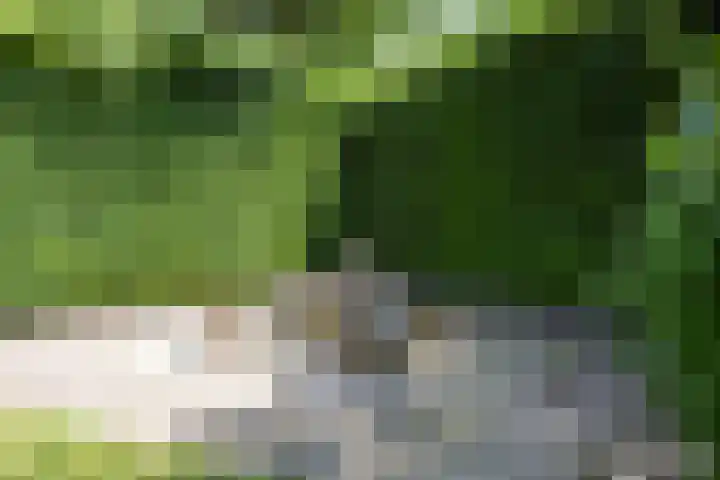 Noordeindseweg 136 Berkel en Rodenrijs thumbnail 47