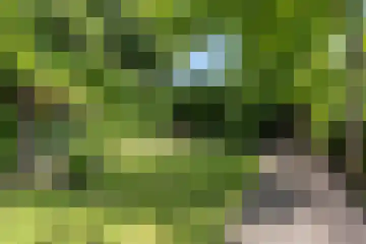 Noordeindseweg 136 Berkel en Rodenrijs thumbnail 50