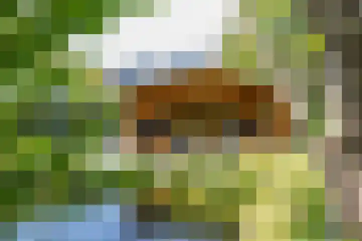 Noordeindseweg 136 Berkel en Rodenrijs thumbnail 51