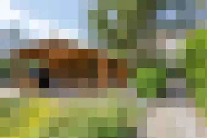 Noordeindseweg 136 Berkel en Rodenrijs thumbnail 53