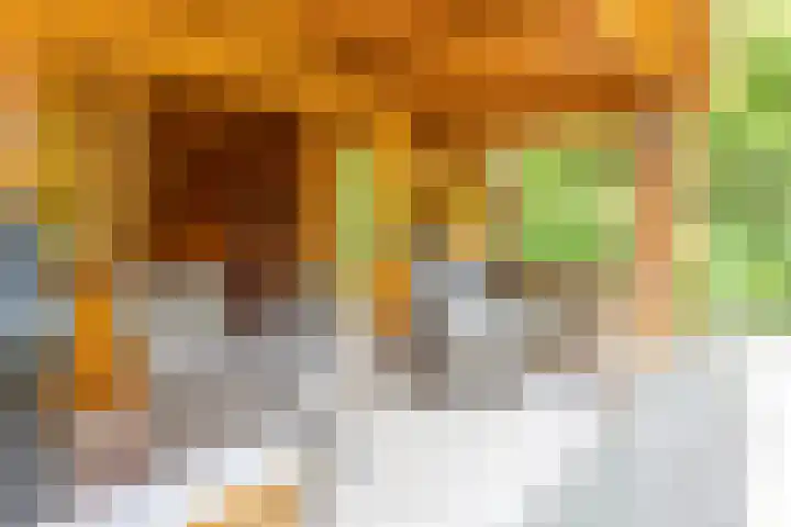 Noordeindseweg 136 Berkel en Rodenrijs thumbnail 60