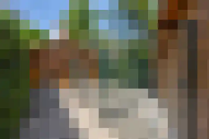 Noordeindseweg 136 Berkel en Rodenrijs thumbnail 65