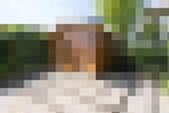Noordeindseweg 136 Berkel en Rodenrijs thumbnail 66