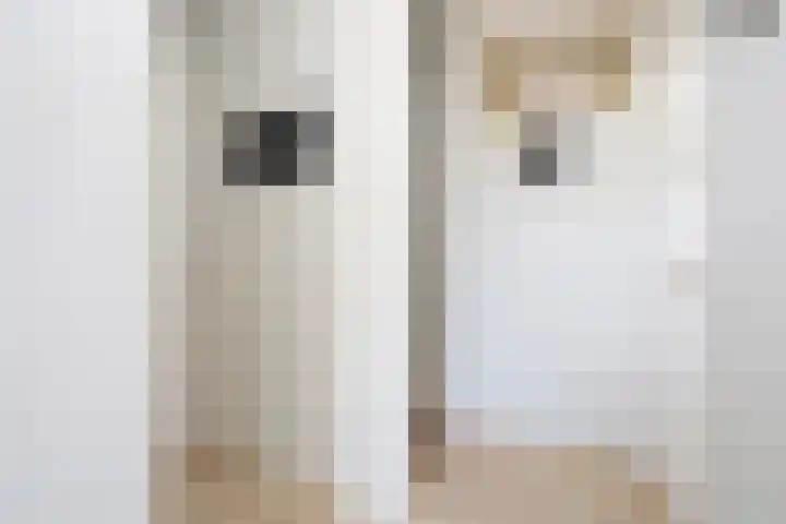 Noordeindseweg 136 Berkel en Rodenrijs thumbnail 9