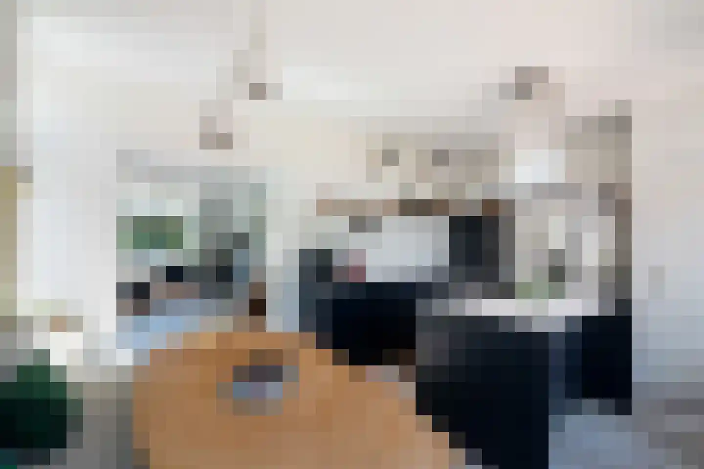 Noordeindseweg 14 Berkel en Rodenrijs thumbnail 17