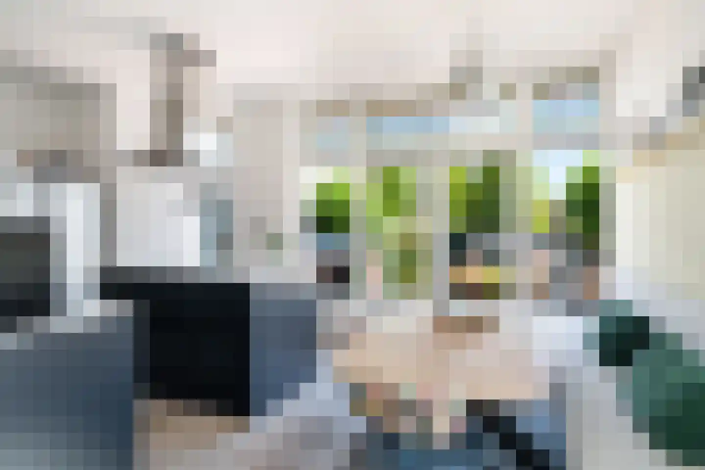 Noordeindseweg 14 Berkel en Rodenrijs thumbnail 18