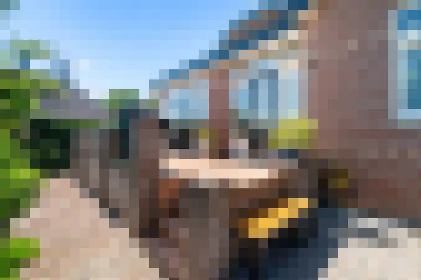 Noordeindseweg 14 Berkel en Rodenrijs thumbnail 20