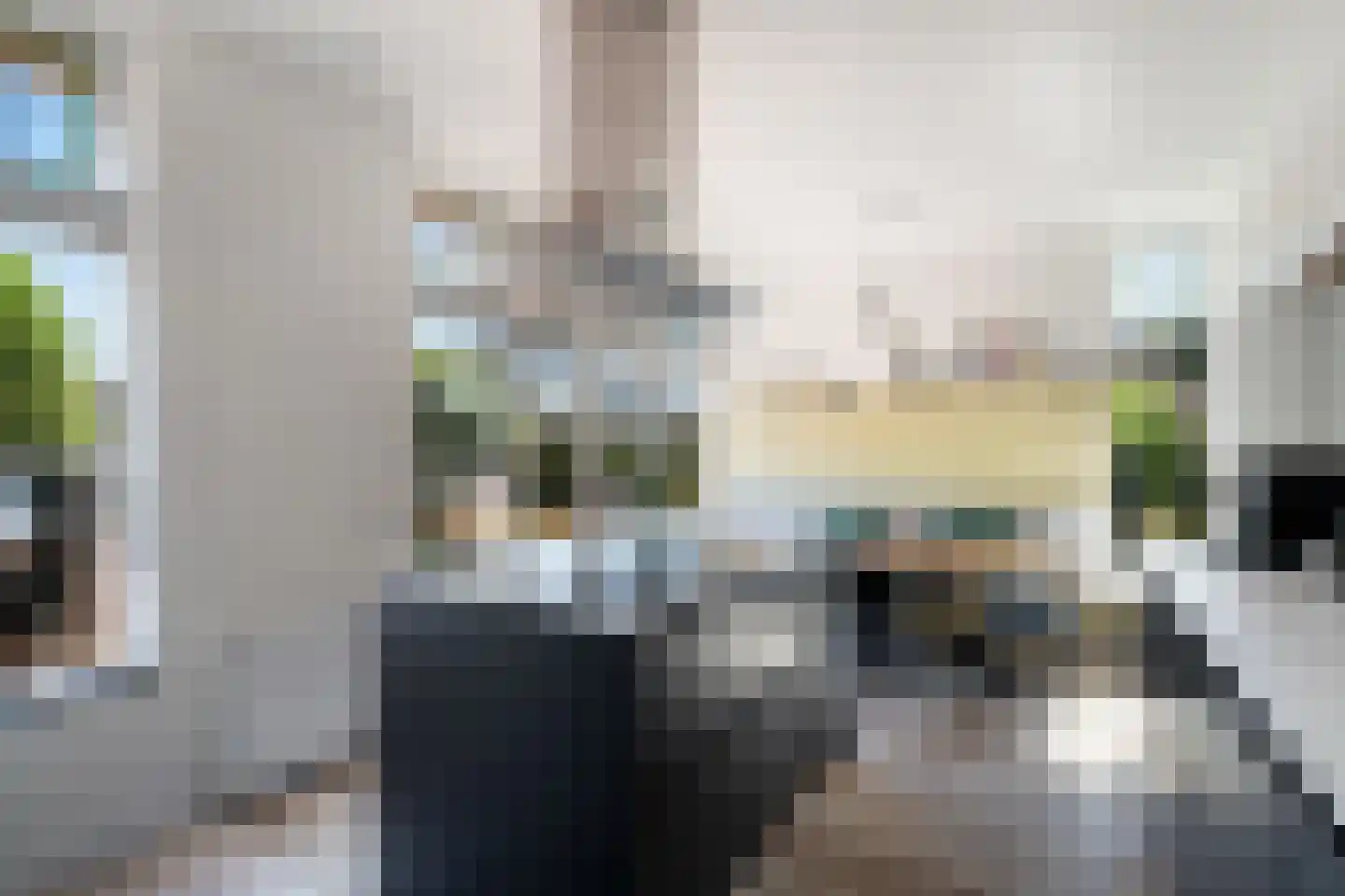 Noordeindseweg 14 Berkel en Rodenrijs thumbnail 5