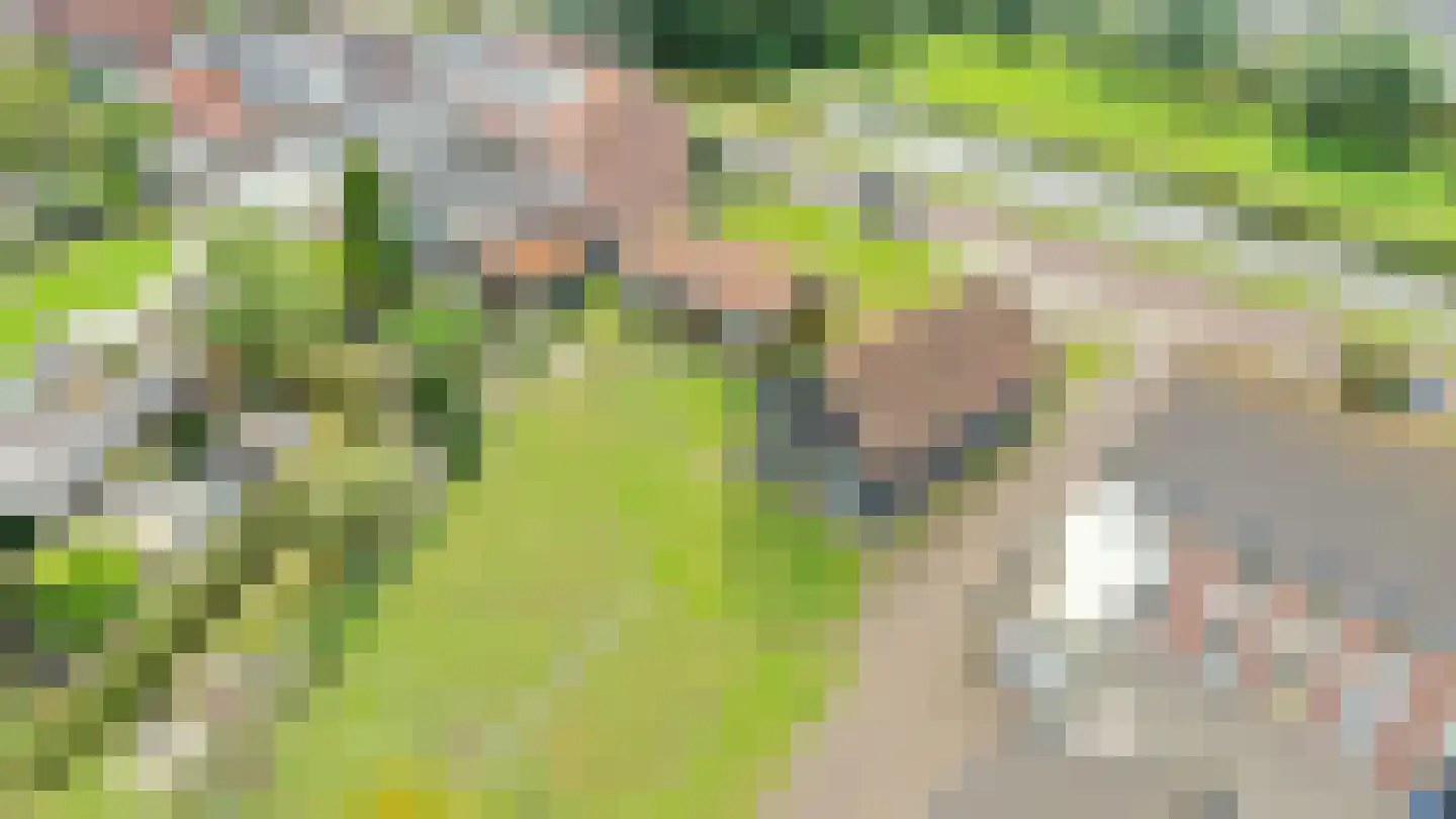 Noordeindseweg 180 Berkel en Rodenrijs thumbnail 7