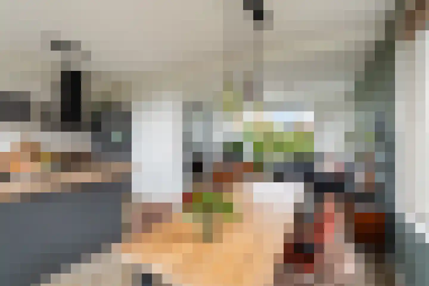 Noordeindseweg 288 Berkel en Rodenrijs thumbnail 13