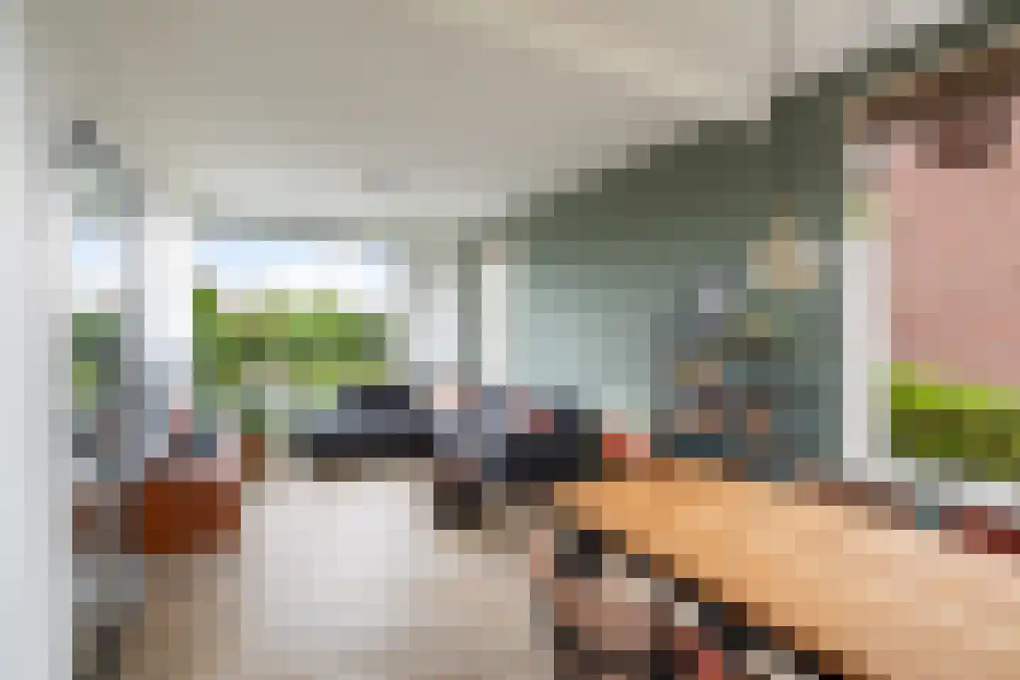 Noordeindseweg 288 Berkel en Rodenrijs thumbnail 14