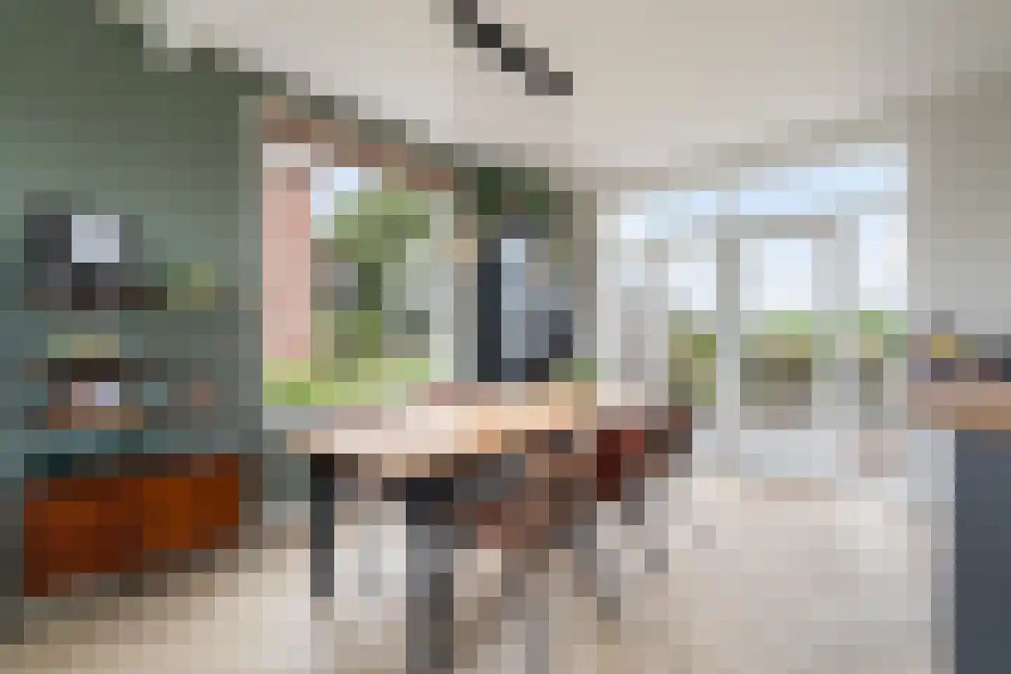 Noordeindseweg 288 Berkel en Rodenrijs thumbnail 18